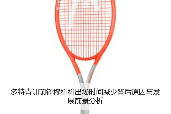 多特青训前锋穆科科出场时间减少背后原因与发展前景分析